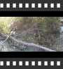 ../pictures/Beaver Marsh/DSCF9062_1_small_icon.jpg